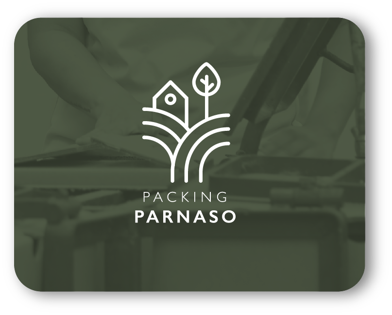 Packing Parnaso link